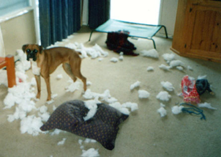 There goes the pillow....