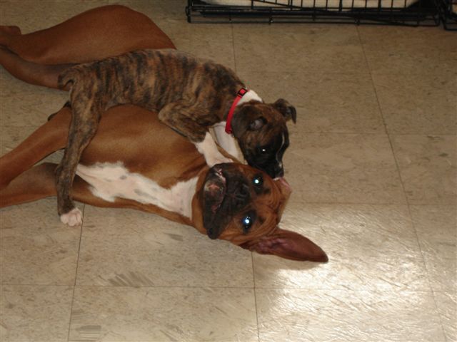 There will be NO resting on Arwen's watch!