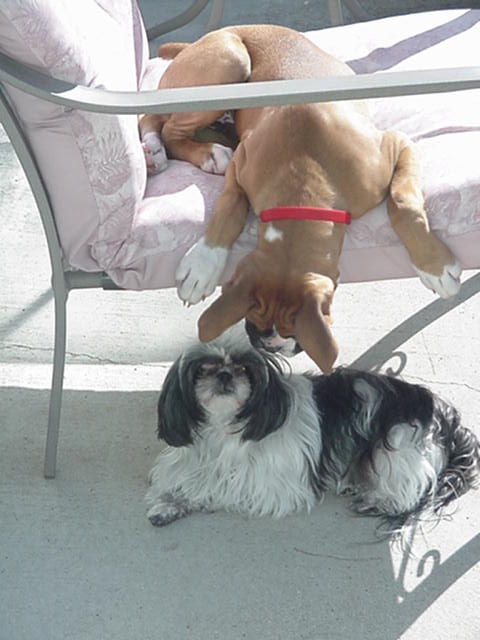There you are Mitzi!
