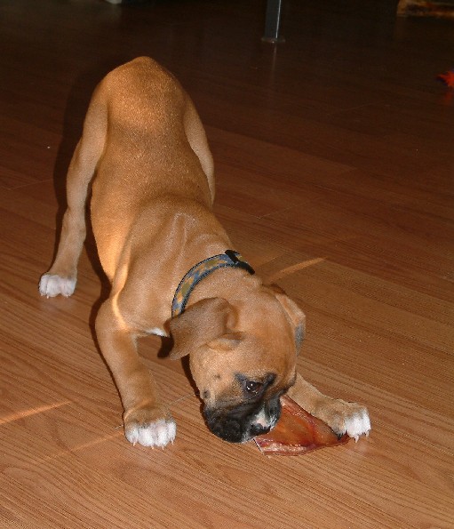 There's nothin' like a TREAT!