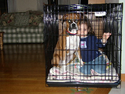 There's something in my crate...