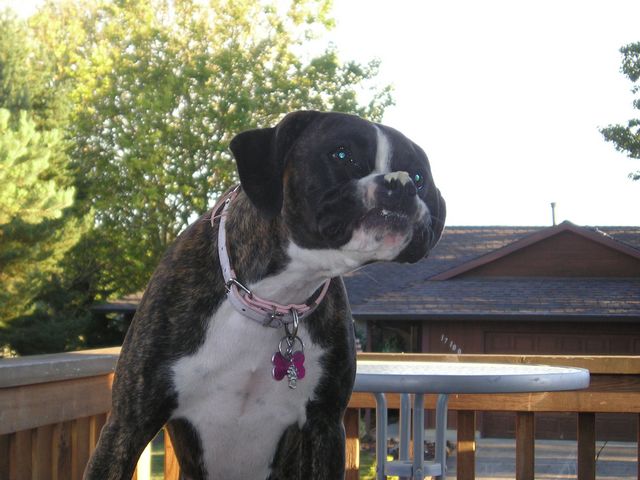 There's sumfin stuck on my nose