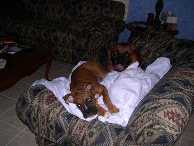 These towels are warm!
