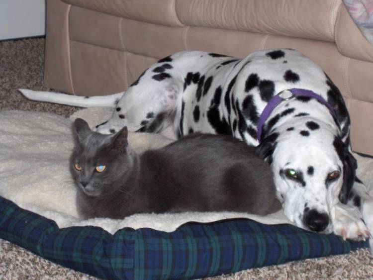 These two are the best of friends.