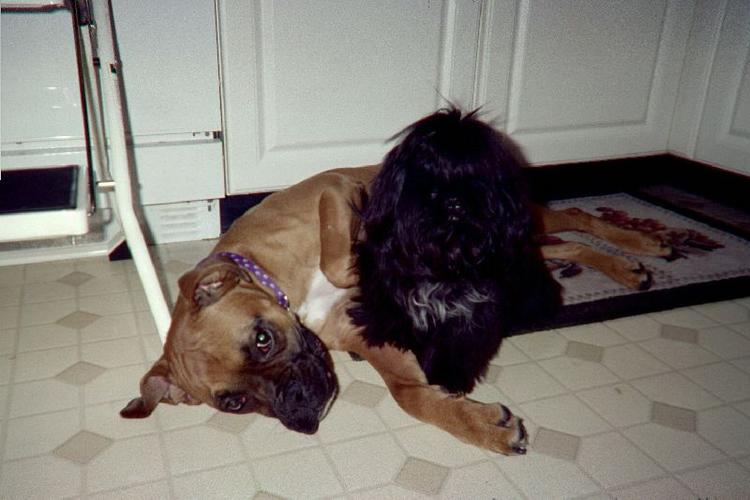 They are the best of friends!