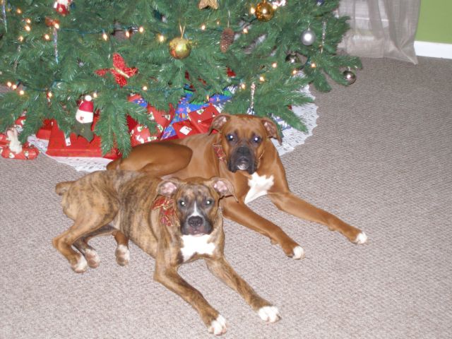 they are trying to be nice!