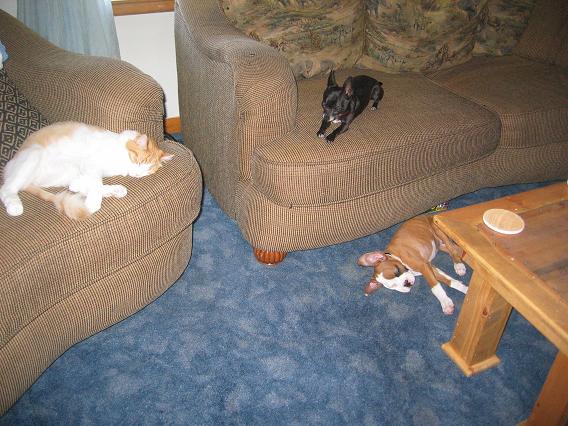 they crashed HARD!
