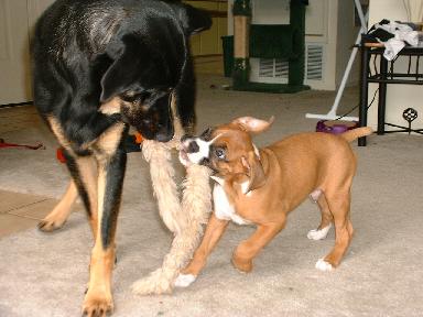 They get along so well
