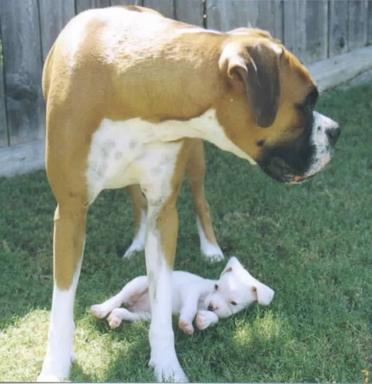 They grow so fast