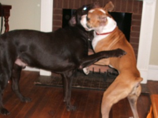 They love each other!!