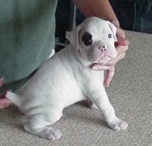 They made me sit still...