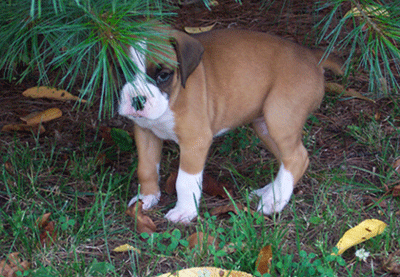 They'll never see me under here!