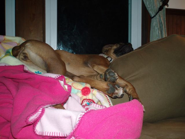 think she's comfy?