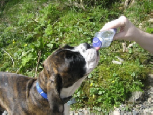 thirsty work