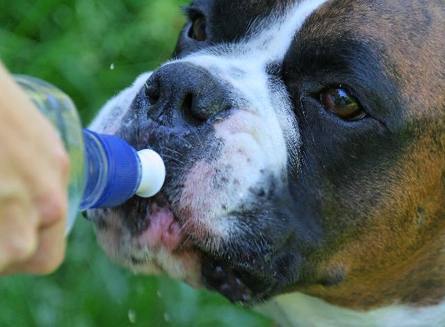 Thirsty work
