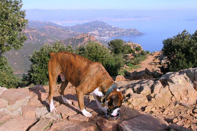 Thirsty work