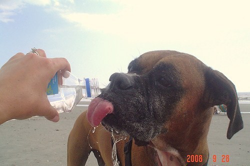 Thirsty