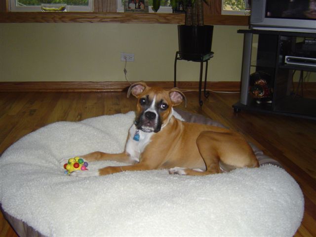 This ball shrank! (5 months)
