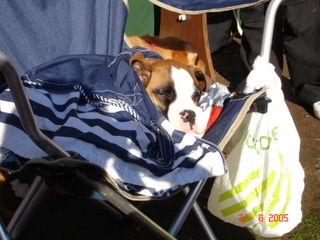 This camping makes me tired