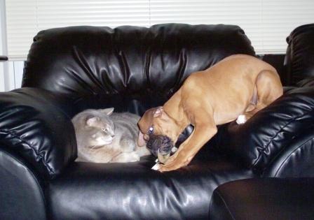 This couch is NOT big enough for the two of us!!