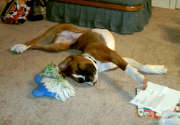 This doesn't look comfortable