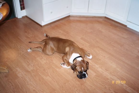 This floor feels so good!