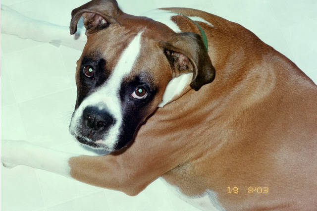 This floor is really cold on my belly.