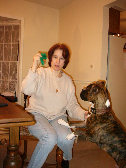 This is a cat toy, Otis, not yours!