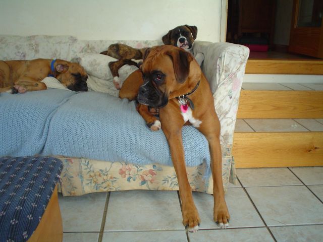 This is a little to crowded for me!