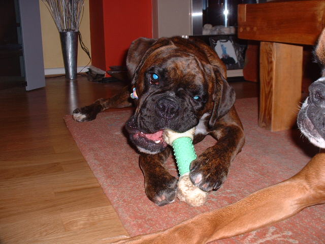 This is all mine Zeb so back off