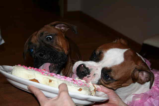 This is good! When is my B.day?