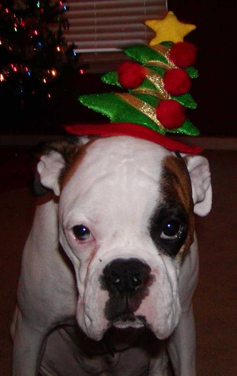 This is humiliating.