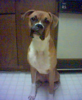 This is Jorja!