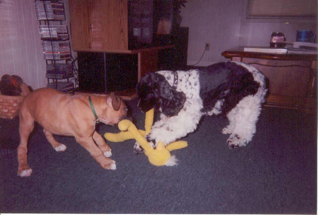 This is mine!!