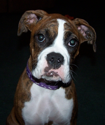 This is my baby at 4 1/2 months