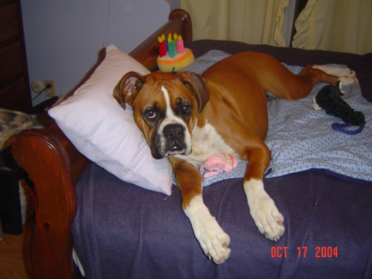 This is my bed now