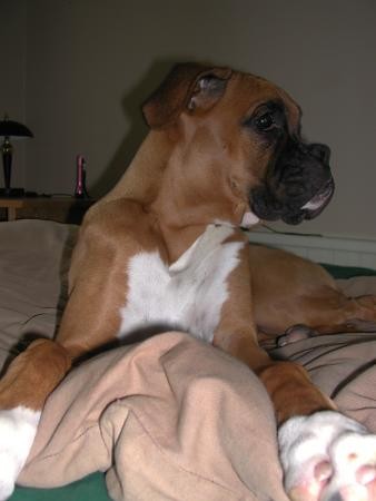 This is my bed, right?