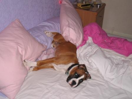 This is my bed