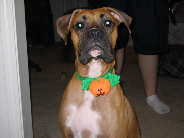 this is my cousin tyson