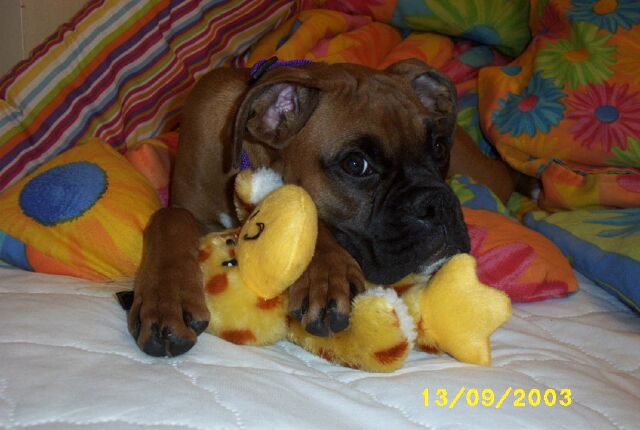 This is my ducky...and no you can't have it