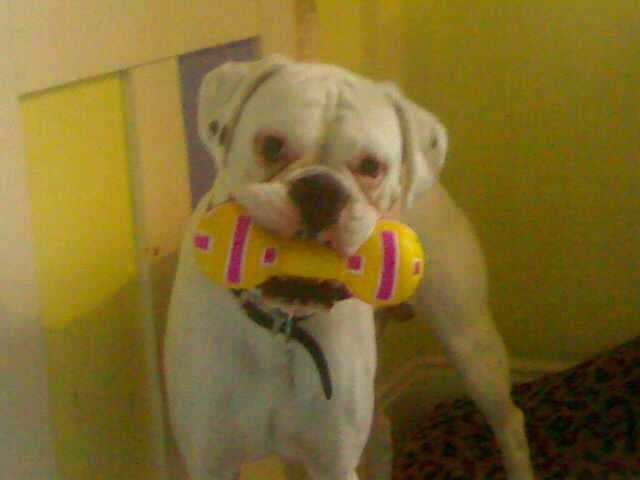 This is my favourite ever toy