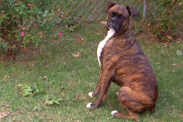 this is my good side