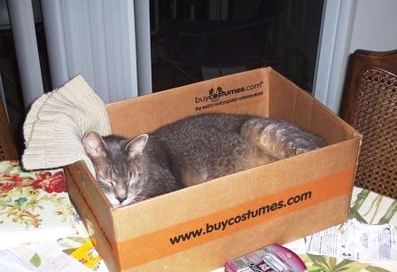 This is my new bed...
