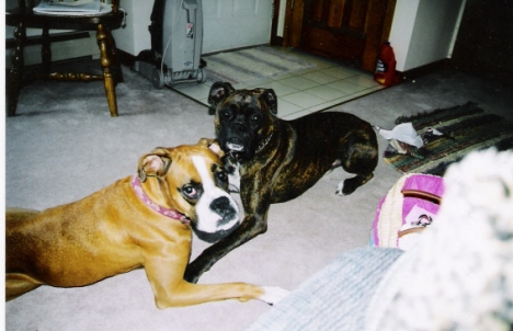 This is my sister, Roxy