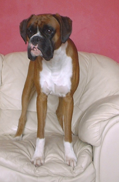 This is my sofa!!
