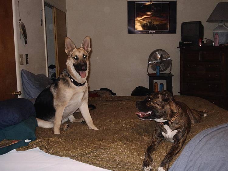 This is OUR bed!!