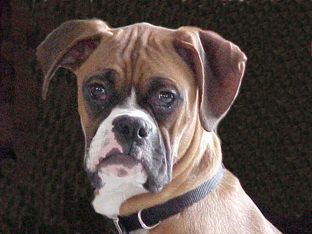 This is our Otis