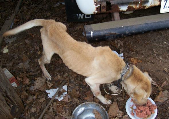 This is that poor baby