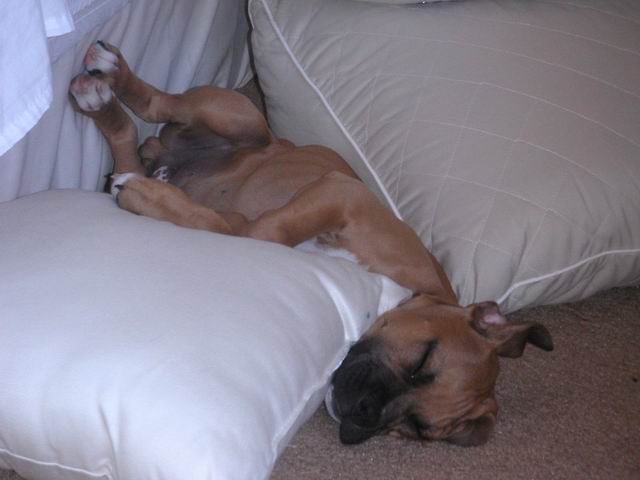This is the life!