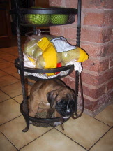 This is the veg rack sanctuary